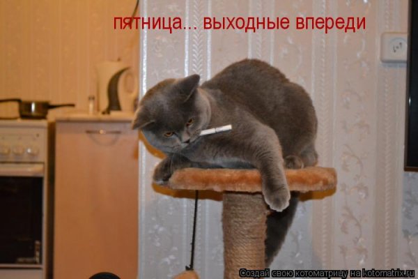 Пятница впереди выходные