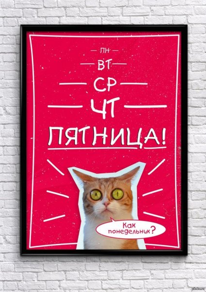 Постеры на стену прикольные