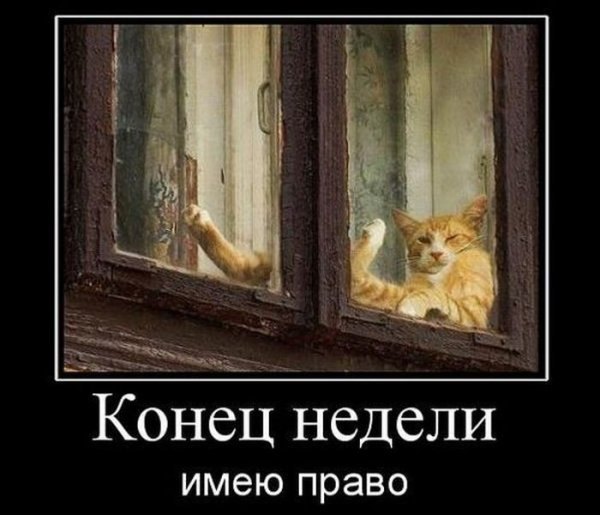 Смешные демотиваторы пятница