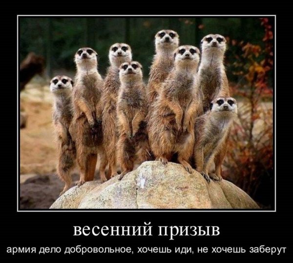 Классный юмор