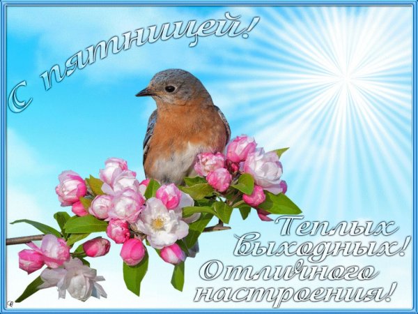 Доброго весеннего дня пятницы