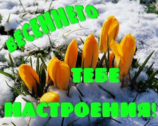 Доброго первого дня весны
