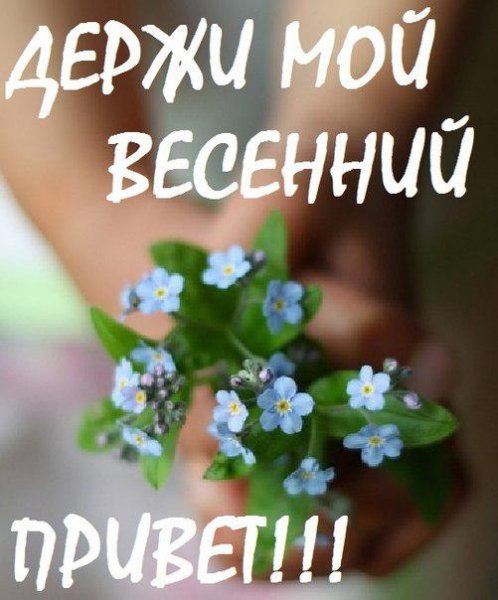Доброго весеннего пятничного утра
