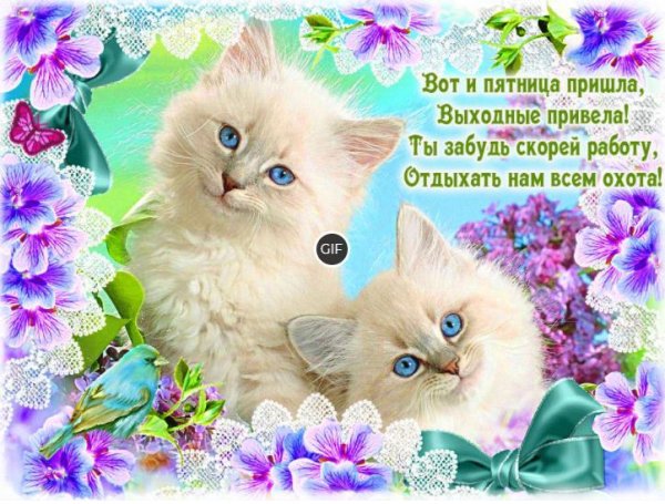 Открытки пятница пришла выходные привела
