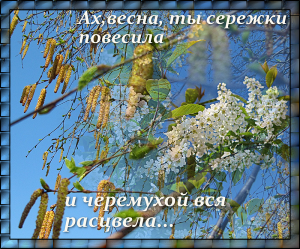 Первая пятница весны картинки