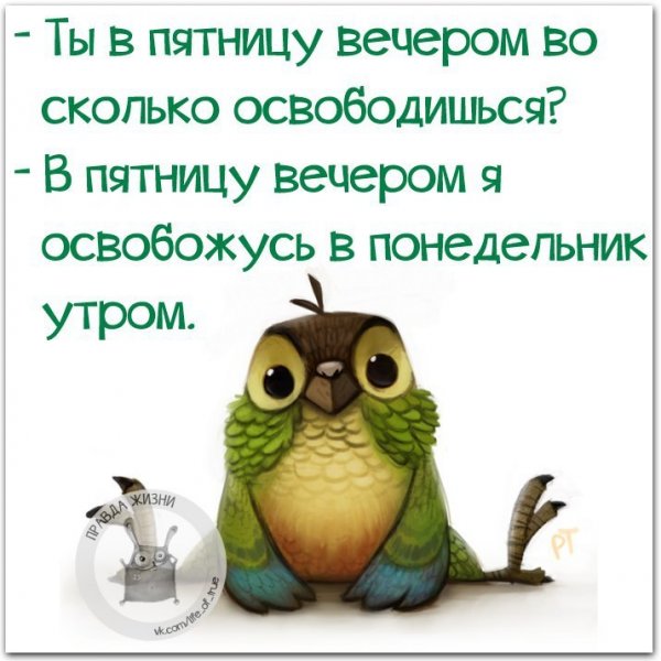 Прикольные выражения про пятницу