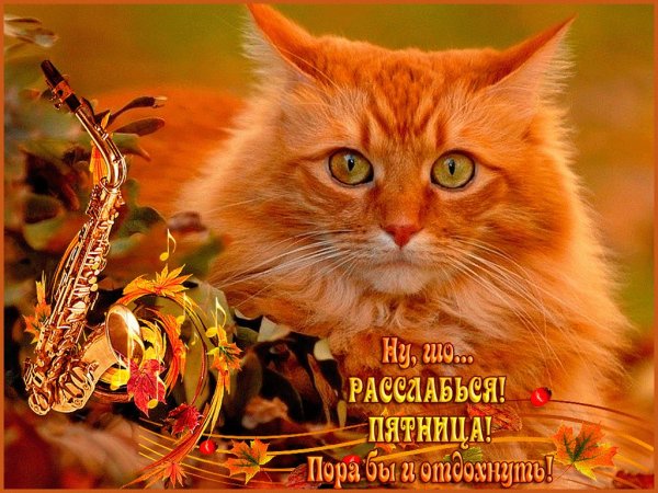 Открытки с пятницей и хороших выходных