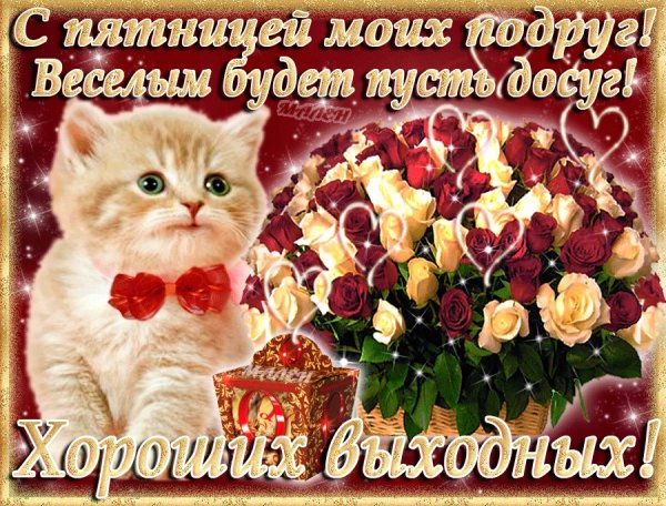 Пятница открытки красивые