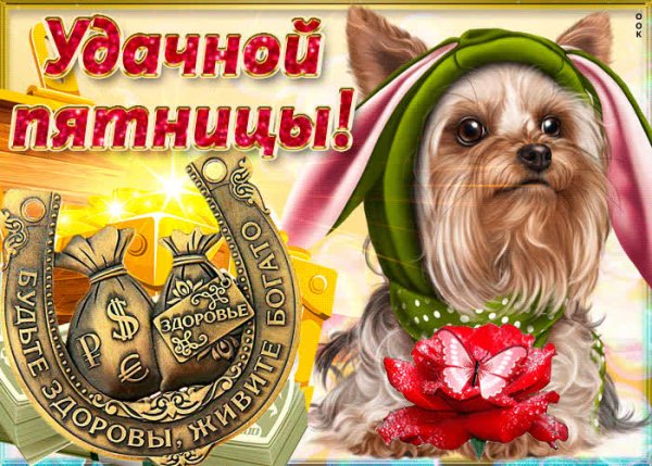 Удачной пятницы и хорошего настроения