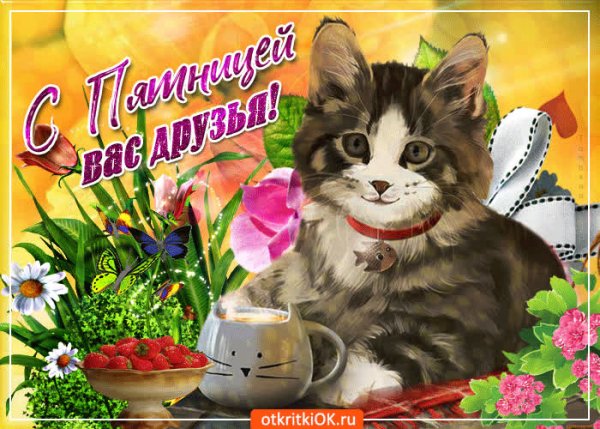 Доброго дня пятницы
