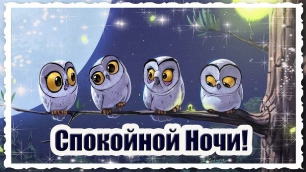 Спокойной ночи с совой прикольные