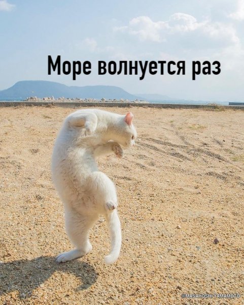Ура пятница и отпуск