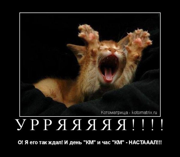 Наконец я в отпуске