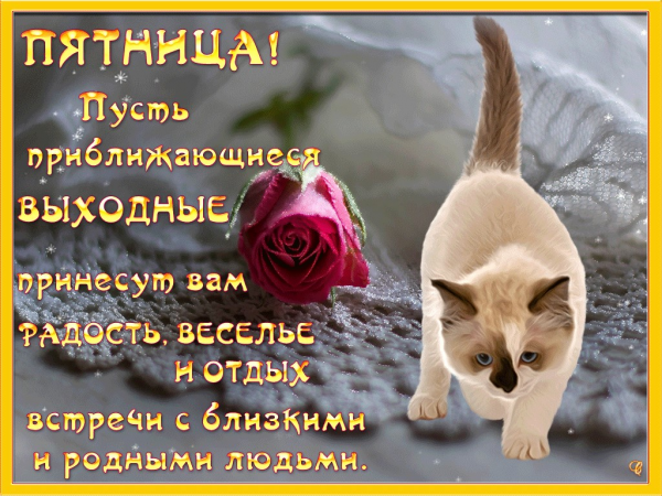 Доброй пятницы и хороших выходных