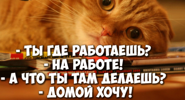 Скоро домой с работы
