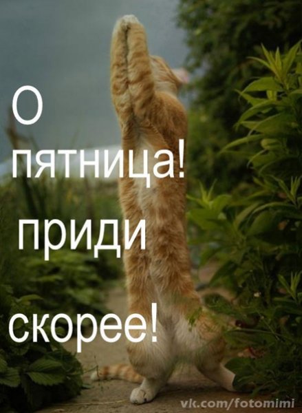 Скорее бы пятница