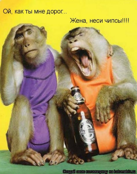 Приколы про пятницу и работу