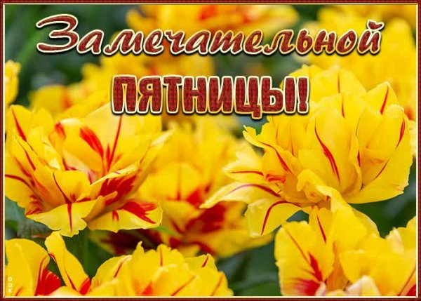 Открытки замечательной пятницы