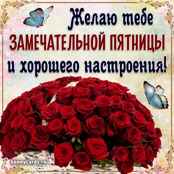 Чудесной пятницы и хорошего настроения