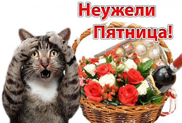 Поздравление с пятницей