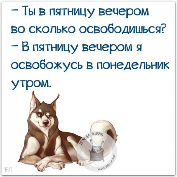 Пятница с пивом смешные