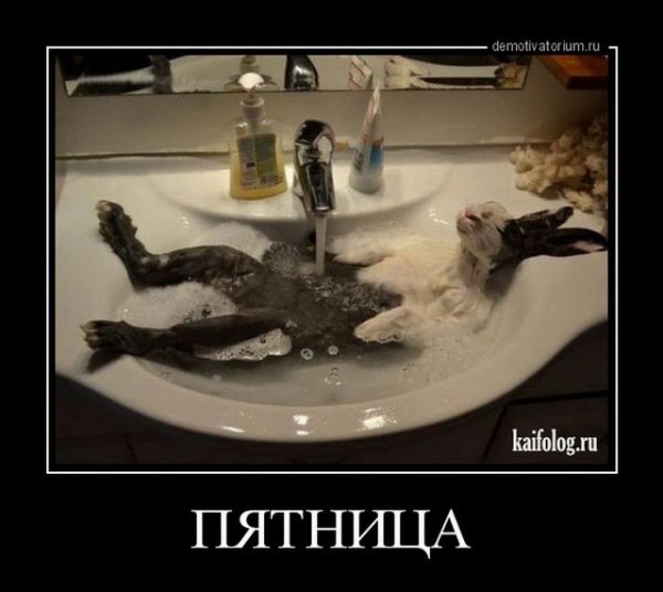 Пятница демотиваторы