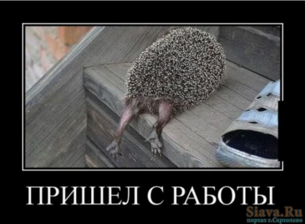 Улётные демотиваторы