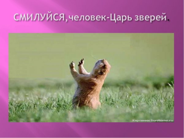 О Боже пятница