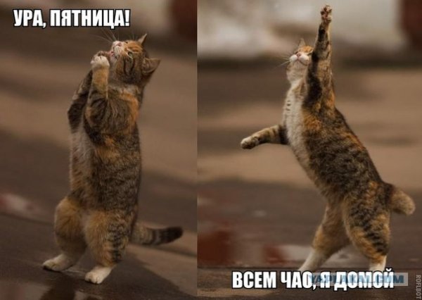 Прошлые шутки про пятницу