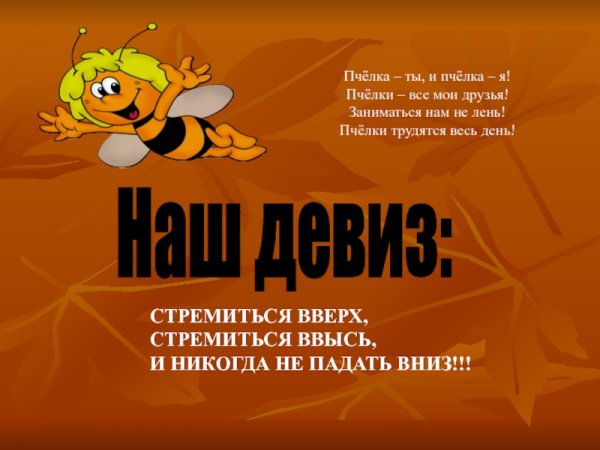 Речевка про пчел