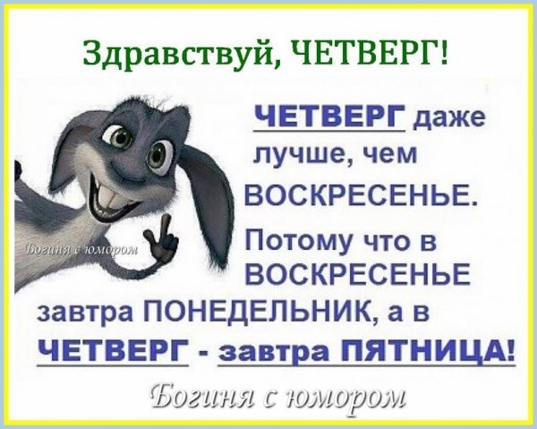 Смешные фразы про четверг