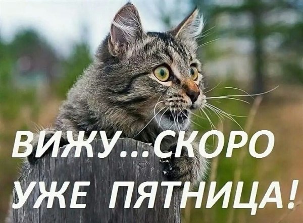 Скоро пятница