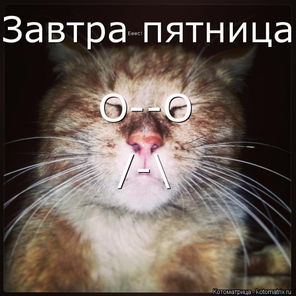 Завтра пятница приколы
