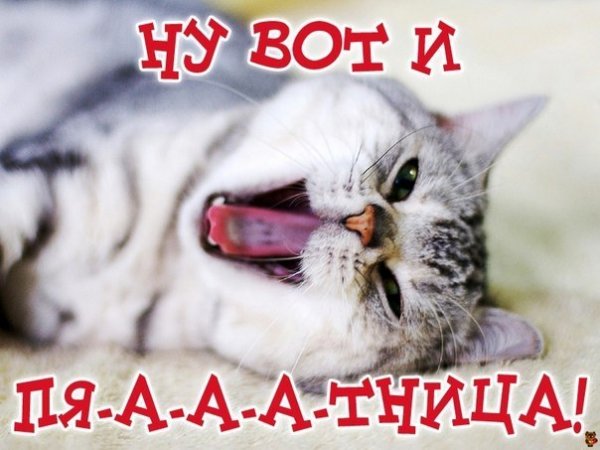 Доброе утро пятницы пожелания