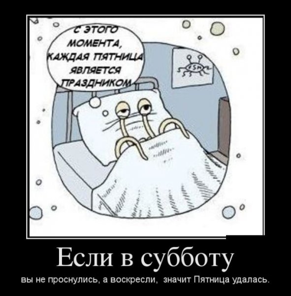 Демотиваторы про субботу прикольные