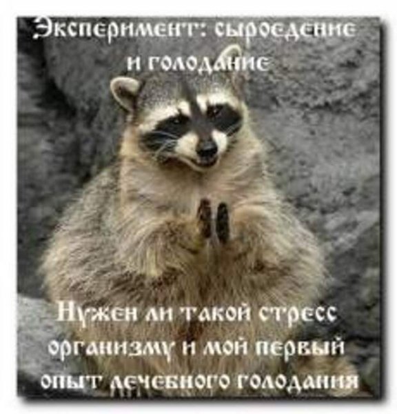 Бухнем в субботу