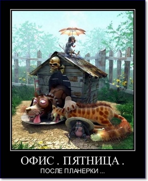 Пятница демотиваторы