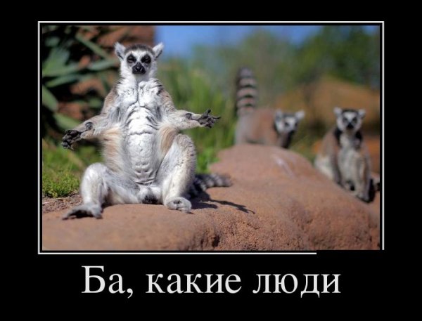 Пятничные демотиваторы
