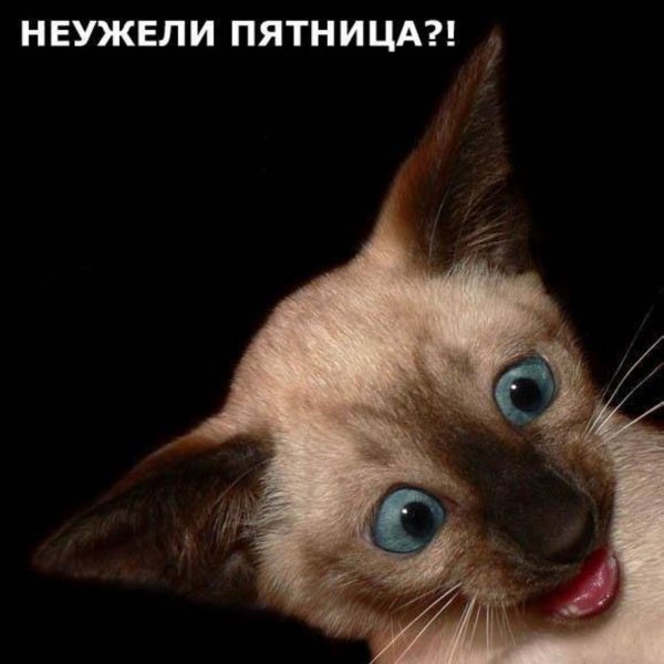 Неужели пятница