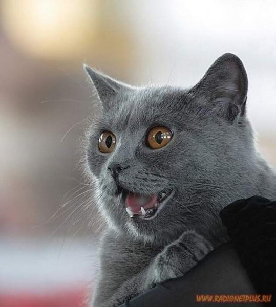 Уже пятница