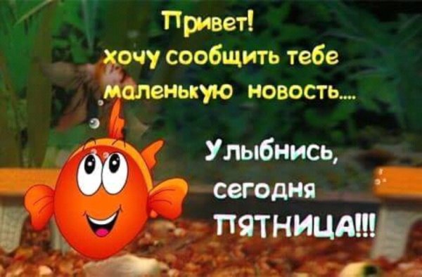 Улыбнись сегодня пятница