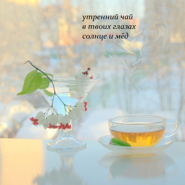 Утро чай солнце