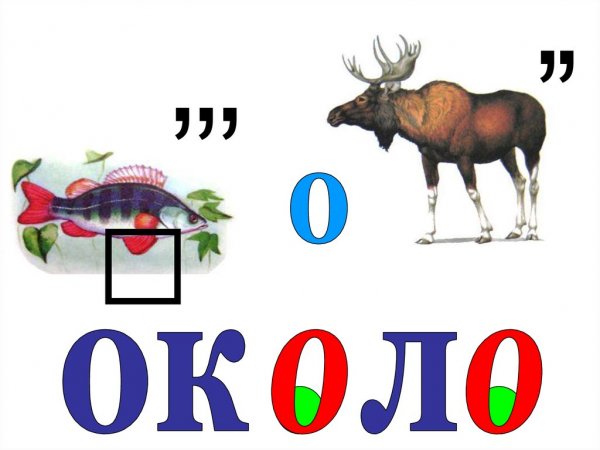 Словарное слово около в картинках