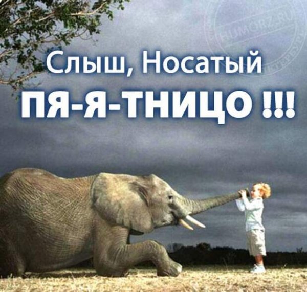 Статусы про пятницу смешные