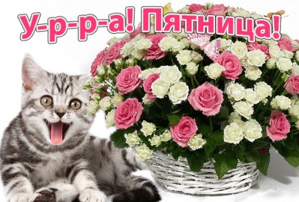 Пятница цветы пожелания