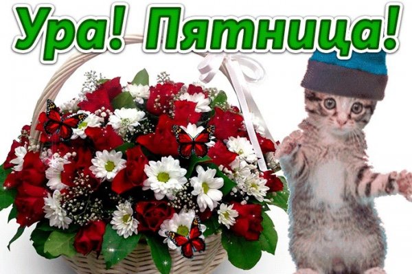 Открытки ура пятница