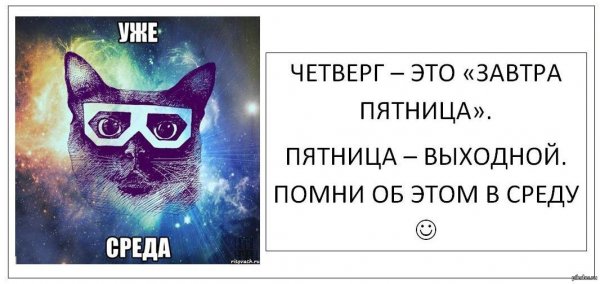 Афоризмы про среду