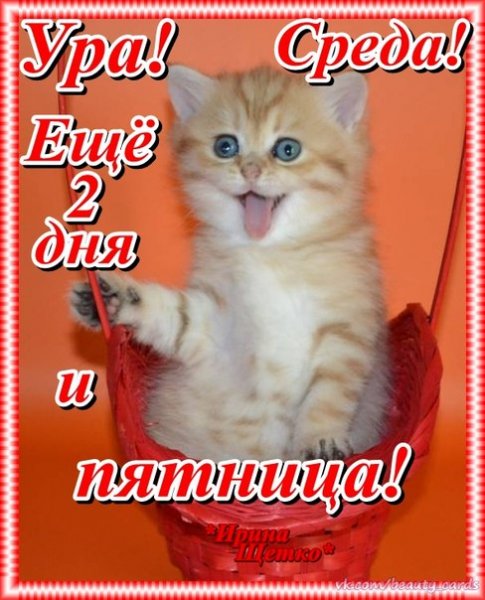 Открытки ура среда