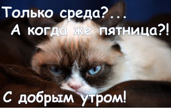 Утро среды