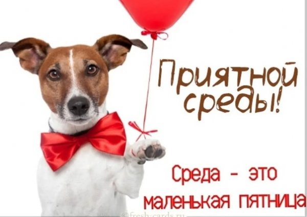 Среда маленькая пятница доброе утро